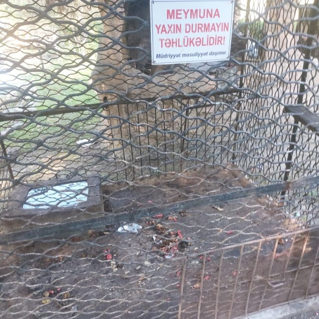 “Sərin” və “Göygöl” restoranlarında vəhşi heyvan və quşların saxlanılması aşkarlandı - FOTOLAR